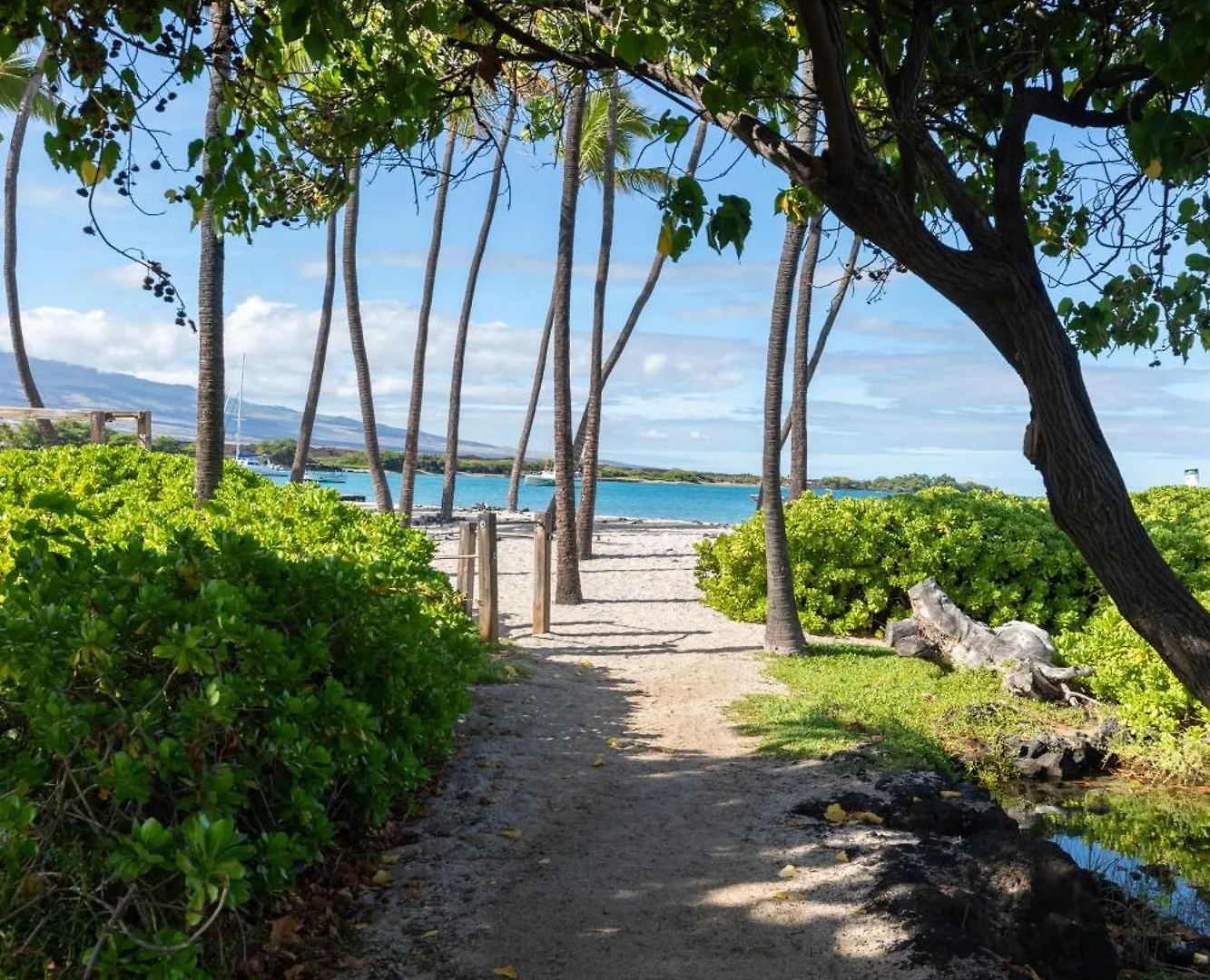 Сasa de vacaciones Villa Hilton Pool Pass Included, Kolea - Luxe Penthouse Waikoloa